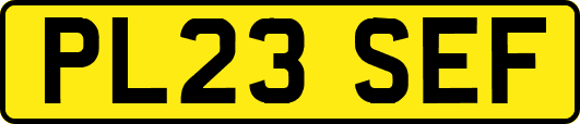PL23SEF