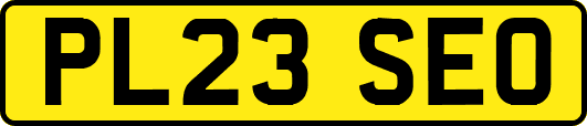 PL23SEO
