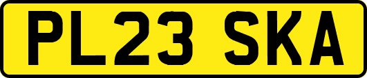 PL23SKA