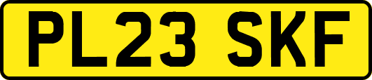 PL23SKF