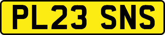 PL23SNS