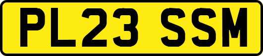 PL23SSM