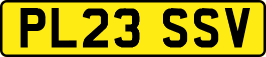 PL23SSV