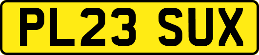 PL23SUX