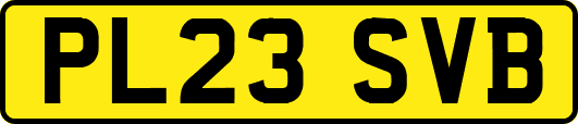 PL23SVB