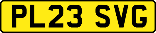 PL23SVG