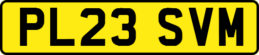 PL23SVM
