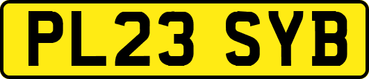 PL23SYB