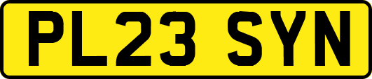 PL23SYN