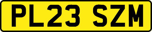 PL23SZM