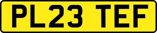 PL23TEF