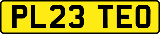 PL23TEO