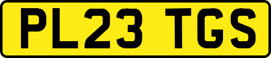 PL23TGS