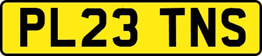 PL23TNS