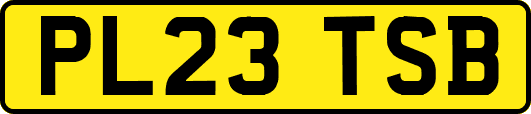 PL23TSB