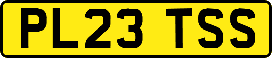 PL23TSS