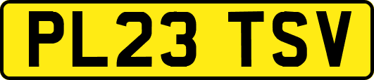 PL23TSV