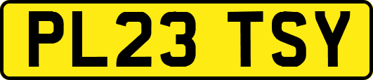 PL23TSY