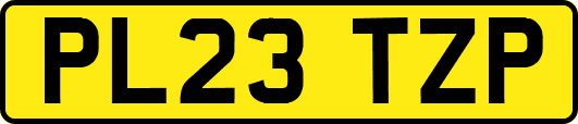 PL23TZP