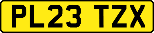 PL23TZX