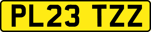 PL23TZZ