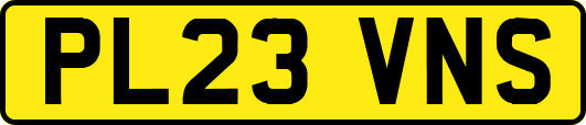 PL23VNS