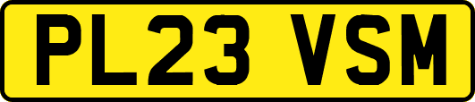 PL23VSM