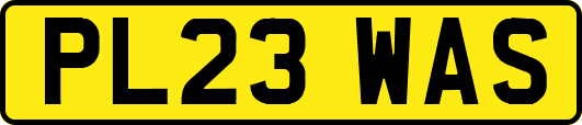 PL23WAS