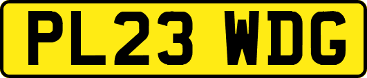 PL23WDG