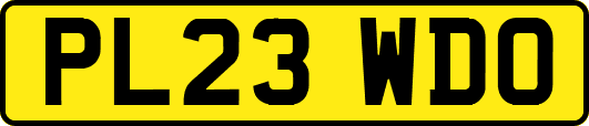 PL23WDO