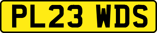 PL23WDS
