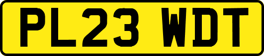 PL23WDT