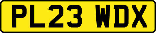 PL23WDX