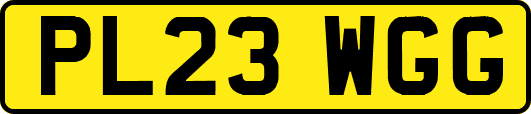 PL23WGG