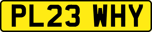 PL23WHY