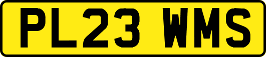 PL23WMS