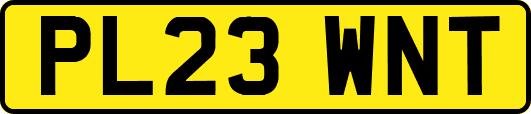 PL23WNT