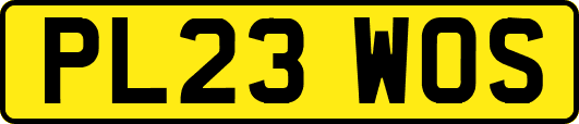 PL23WOS