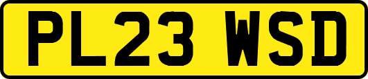 PL23WSD