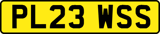 PL23WSS