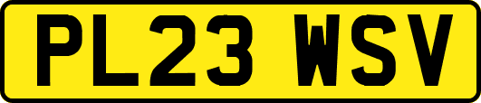 PL23WSV