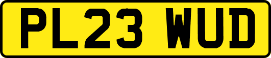 PL23WUD
