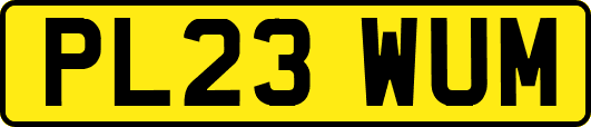PL23WUM