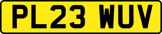 PL23WUV