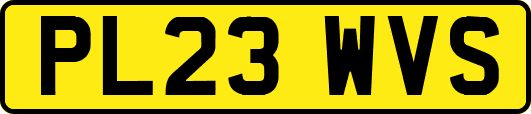 PL23WVS