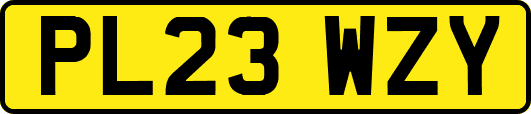 PL23WZY