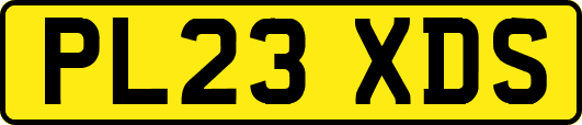 PL23XDS