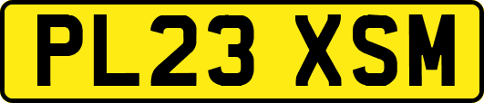 PL23XSM