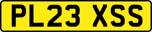 PL23XSS