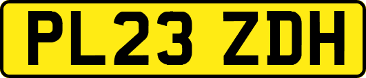 PL23ZDH
